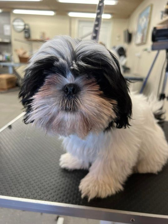 Hold dig ajour med dagens opdateringer fra Sæby