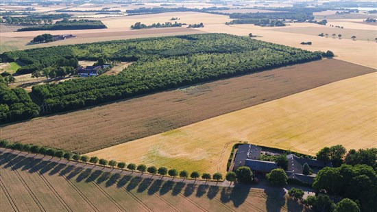 Ølsholmen 12 og 3 andre boliger er kommet til salg denne uge i Ringsted - se boligerne her.