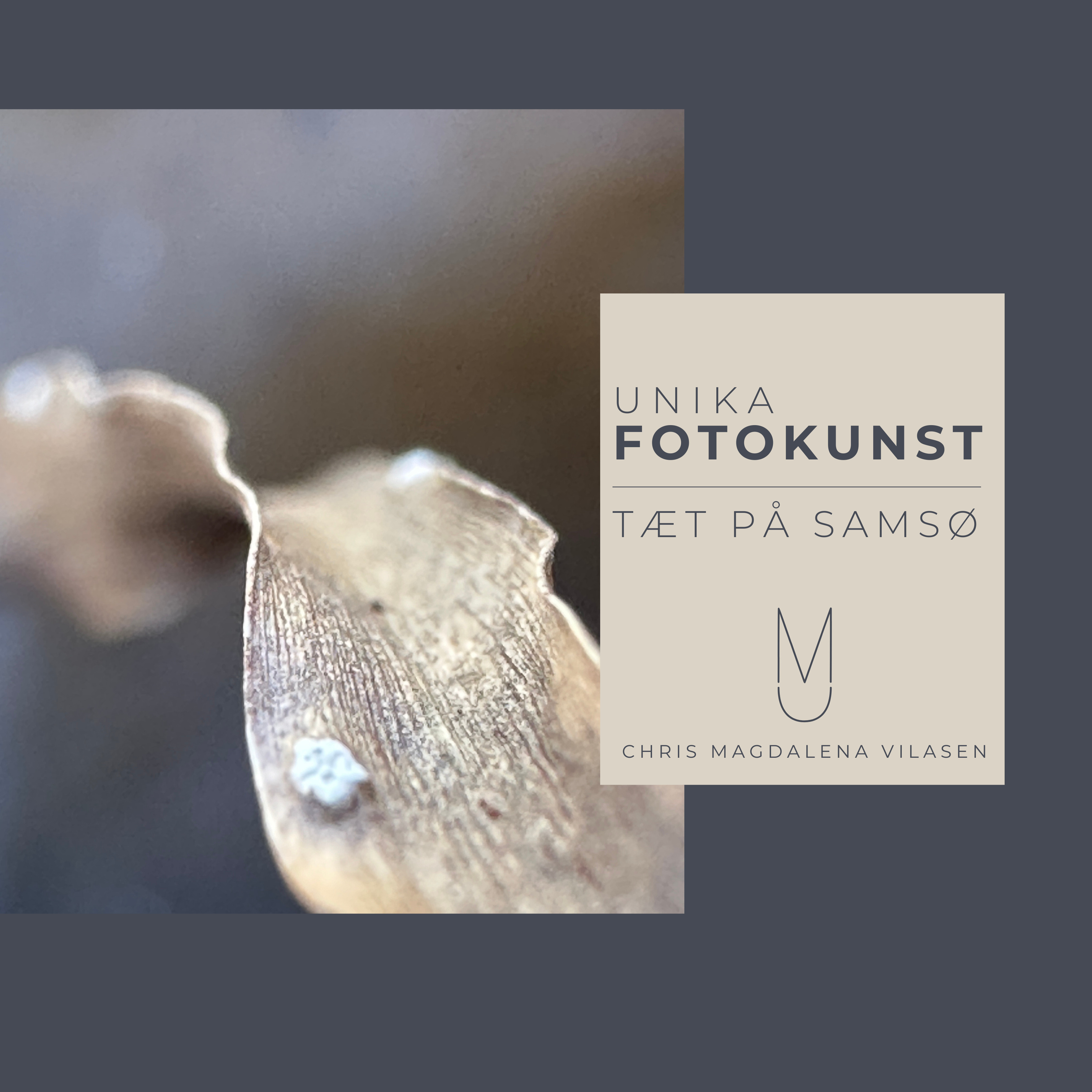 Oplev Samsøs skønhed gennem fotokunst