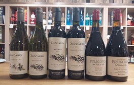 Fredericia Vinhandel inviterer til vinsmagning med verdens bedste vine fra Argentina