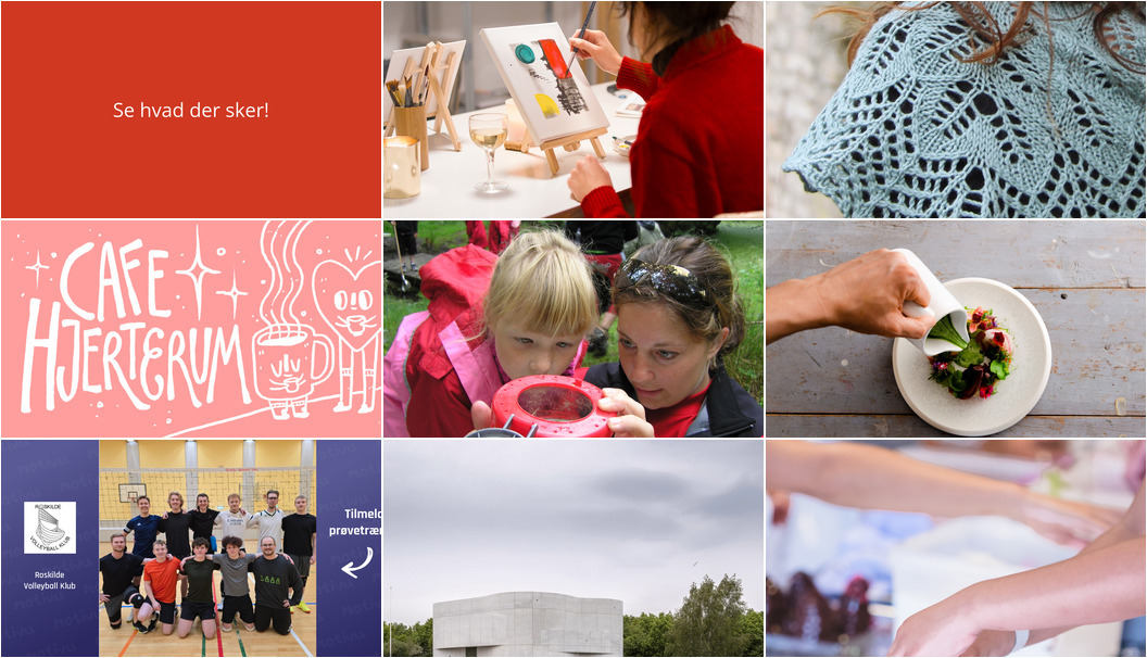 Spændende aktiviteter i Roskilde næste uge: Fra kreativ sproglæring til flødebollekurser