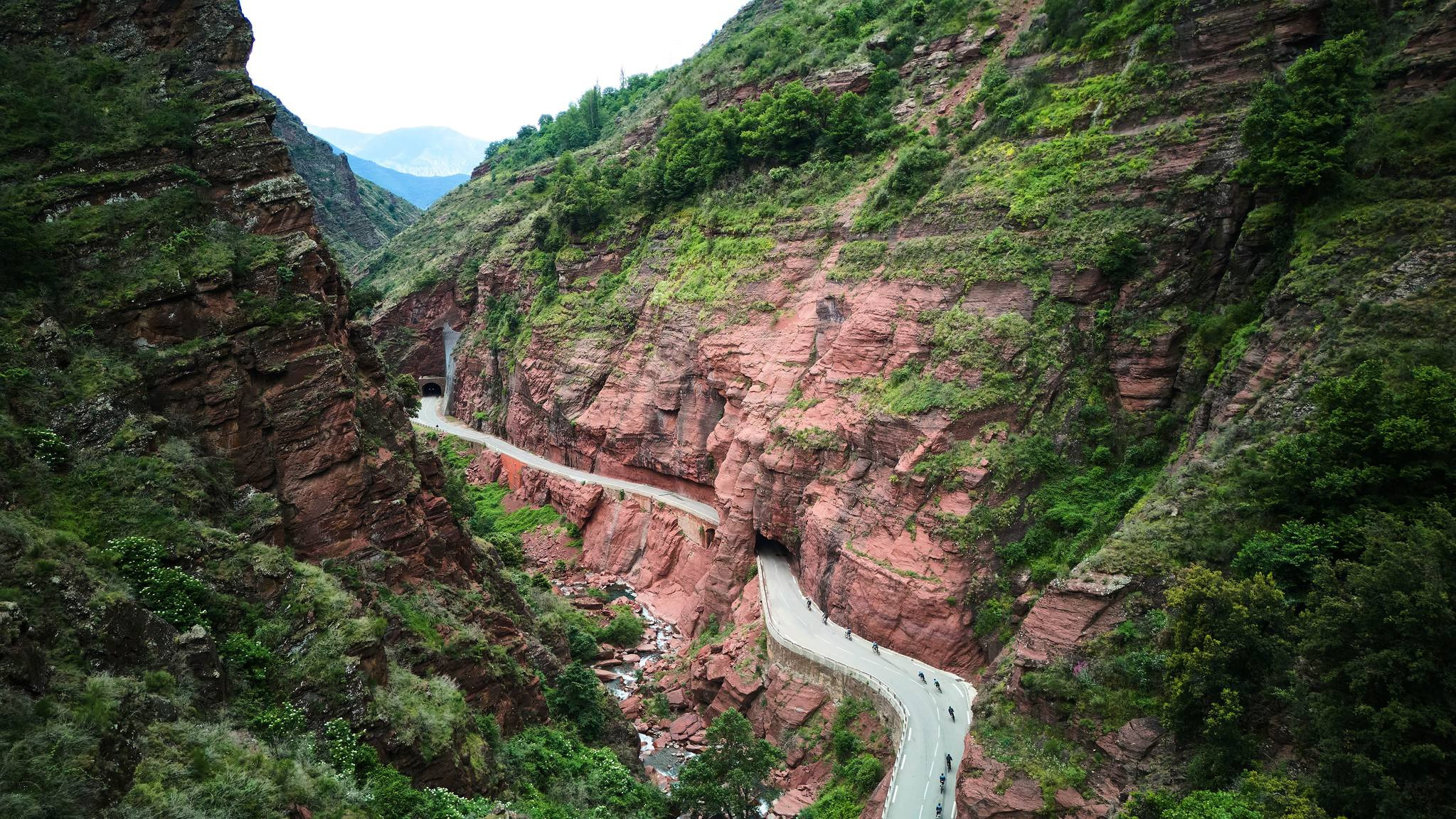 Cykling og Tour de France som Sørens vigtige våben mod sin kones kroniske sygdom