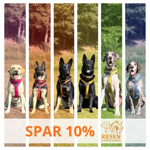 Resen Landhandel giver 10% rabat på udvalgte Dog Copenhagen produkter i Pride-ugen