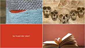 Ugen i Hjortshøj: Strikkeaften, foredrag om menneskets evolution og fælleslæsning på biblioteket
