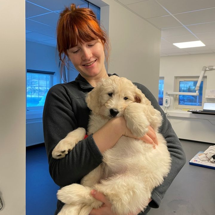 Hold trit med lokalområdet: Nyt fra Risskov