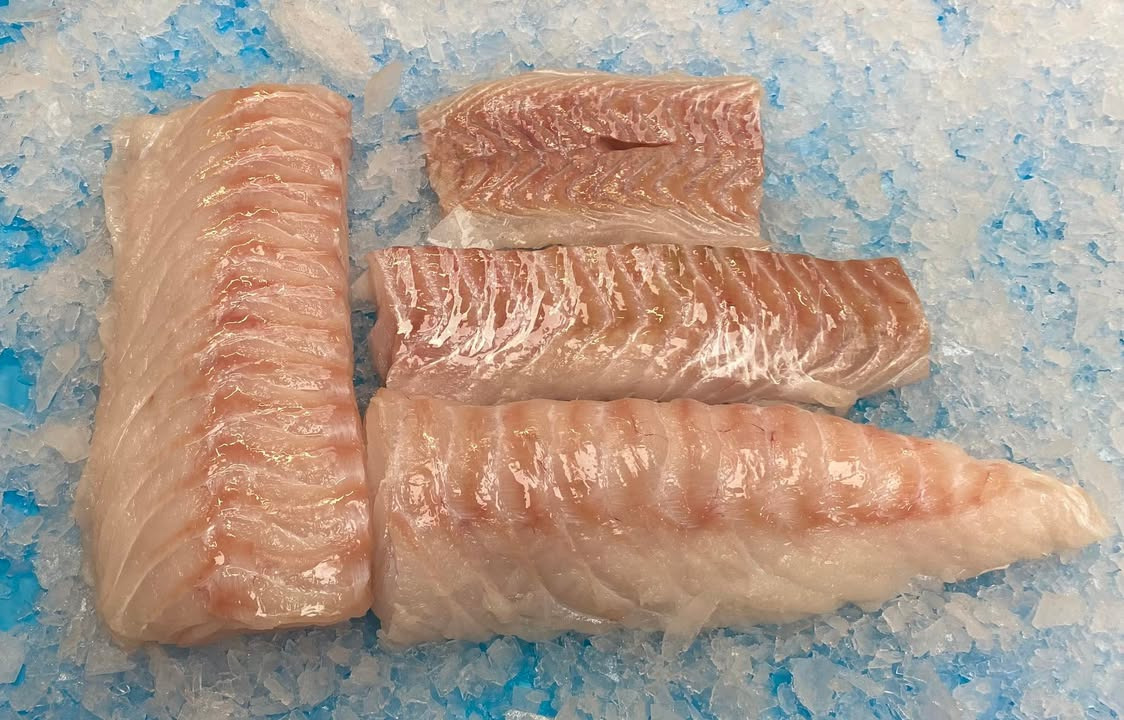 Hanstholm Auction Buyer lancerer ugens fisk og fragtfri levering i udvalgte kommuner