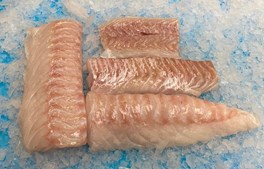 Hanstholm Auction Buyer introducerer nye friske priser og ugens fisk i netbutikken