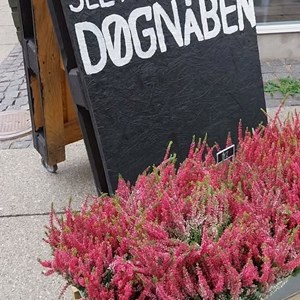 Opslagsbillede