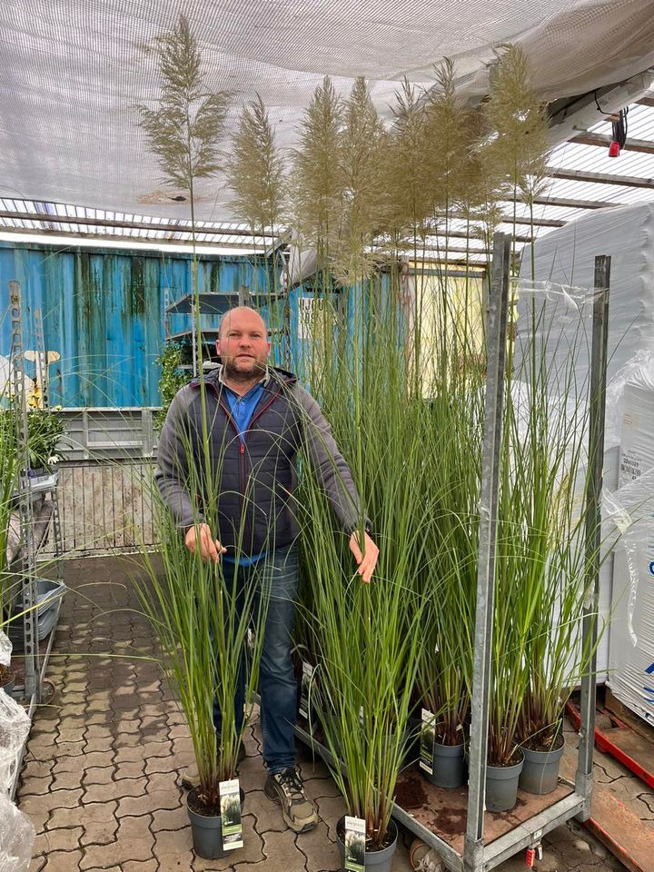 Hold trit med lokalområdet: Nyt fra Horsens