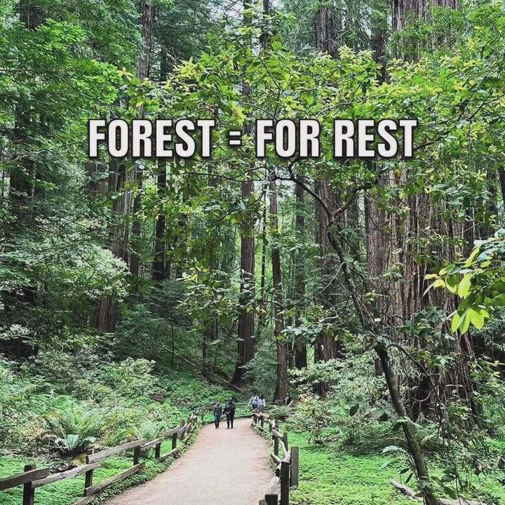 Brandsborgs Kropsterapi deler vigtigheden af restitution og ferie