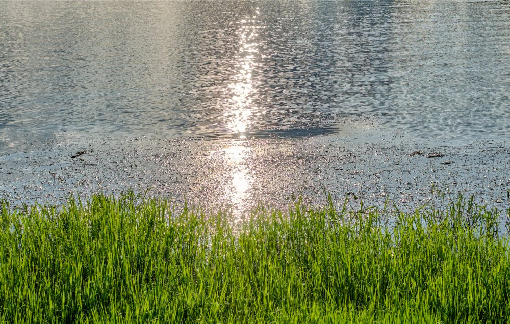 Foredrag om den middelalderlige katolske kirke i Sønderjylland