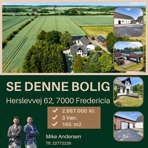 Opslagsbillede