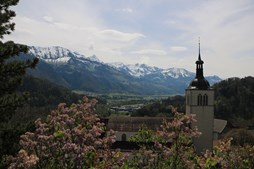 Kulturhistoriske rejser og politiske analyser på Birkerød Bibliotek