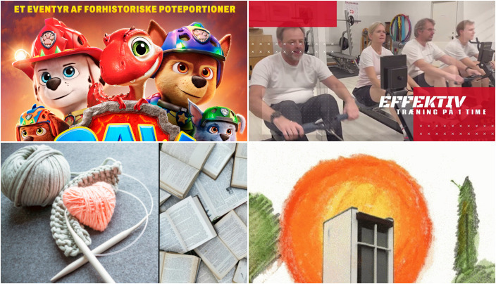 Oplev PAW Patrol i aktion, e-roning ved Rungsted Roklub eller hyggelig kirkecafé: Se hvad der sker i den kommende uge i Hørsholm