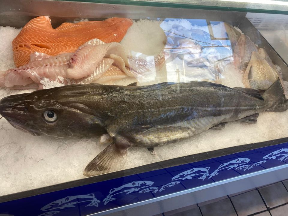 Opslagstavlen: Nyeste opdateringer fra Hadsund