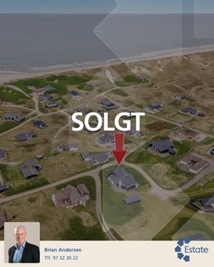 opslagsbillede