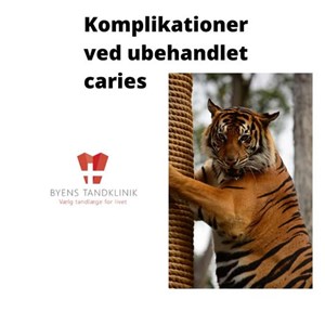 Opslagsbillede