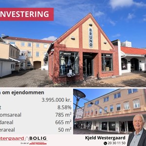 Opslagsbillede