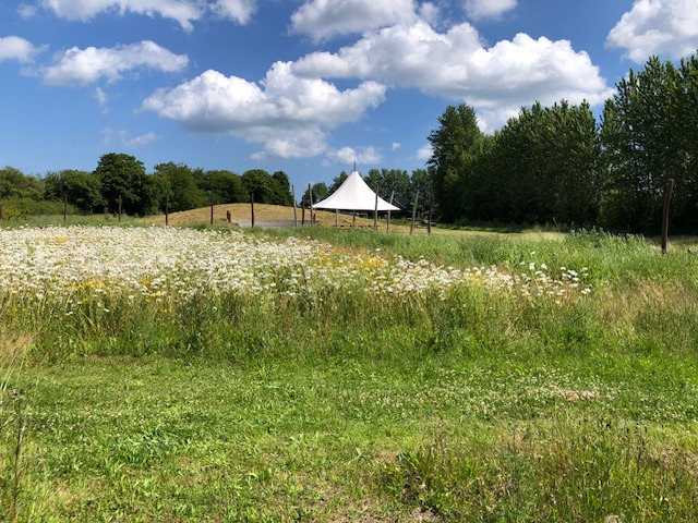 Sommeraktiviteter i Jungshoved Folkepark