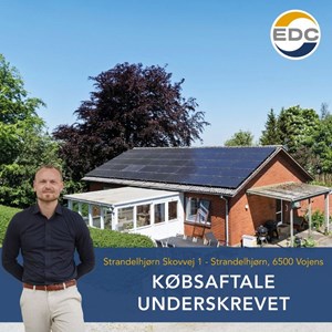 Opslagsbillede