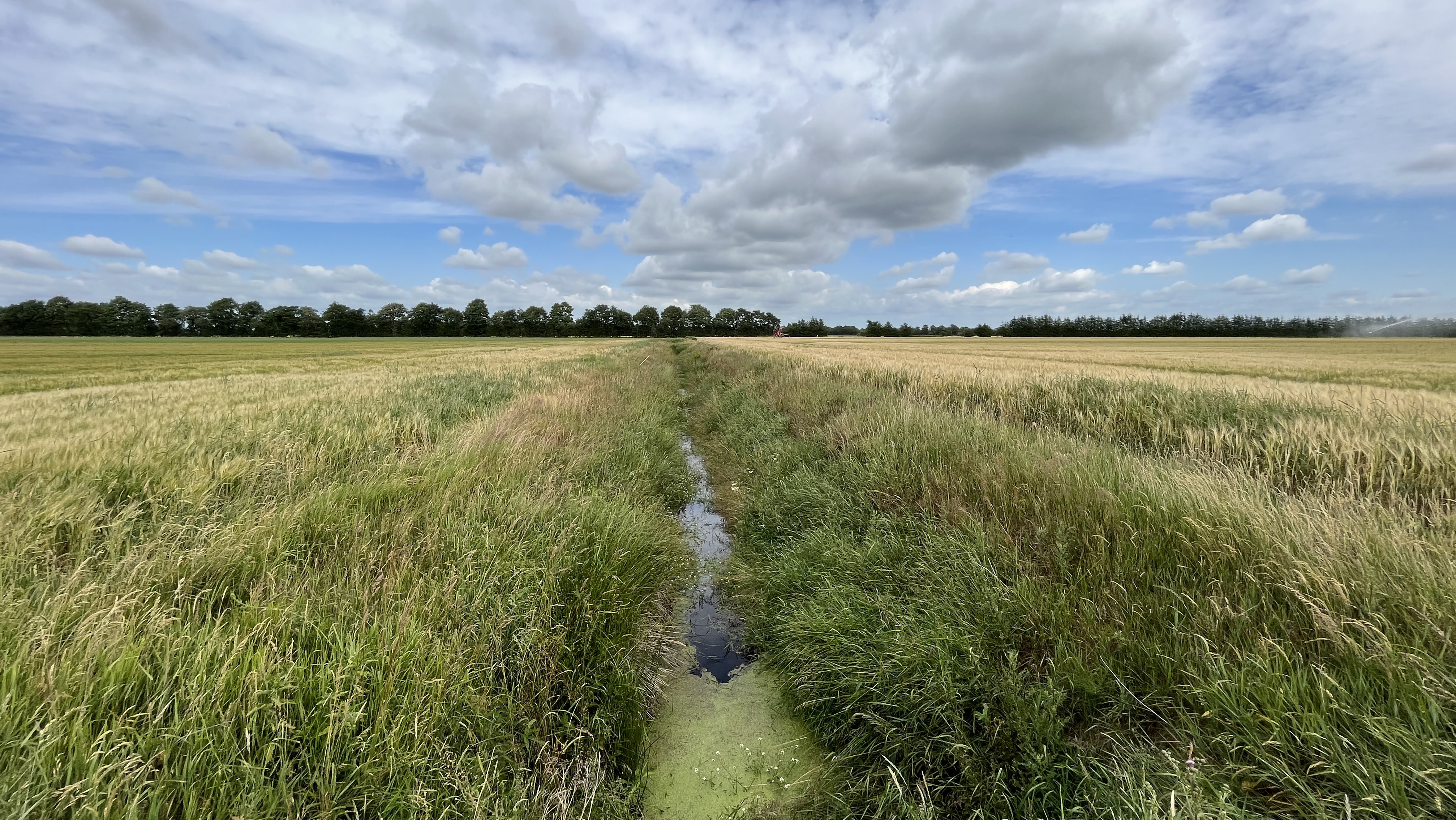 Godkendt plan baner vej for nye naturprojekter ved Smålandsfarvandet