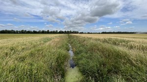 Godkendt plan baner vej for nye naturprojekter ved Smålandsfarvandet
