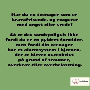 Opslagsbillede