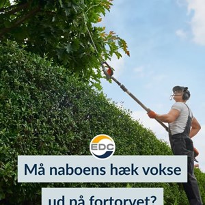 Opslagsbillede