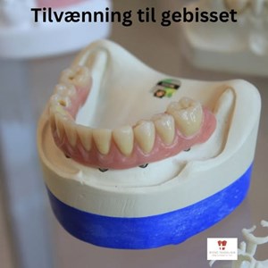 Opslagsbillede
