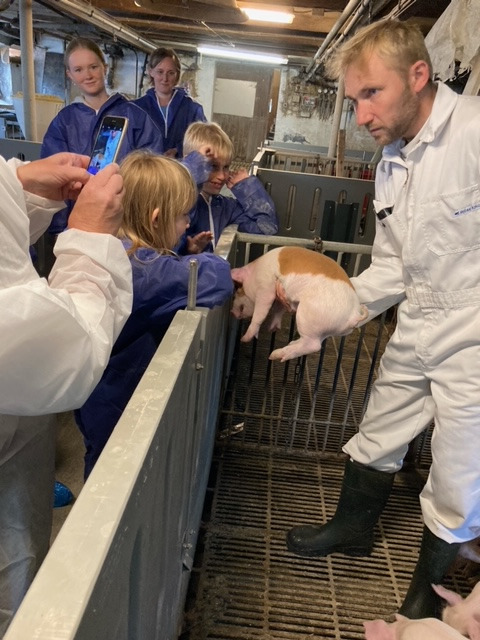 Djurslandgården: Gårdbesøg hos Pilegård v. Grenaa