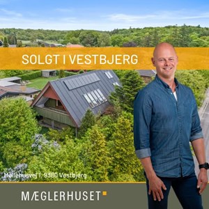 opslagsbillede