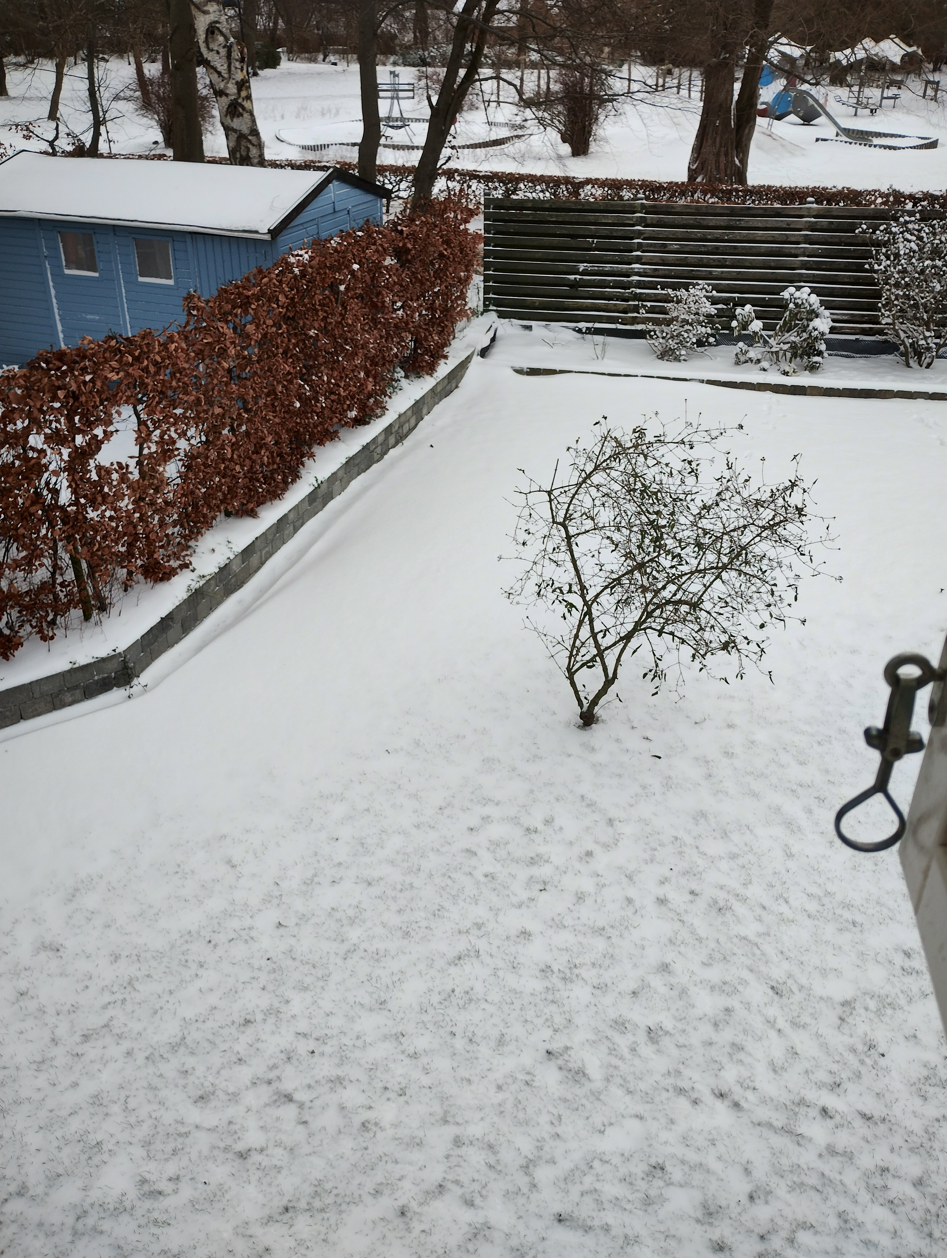 Fritidsjob: Græsslåning i centrum af Birkerød