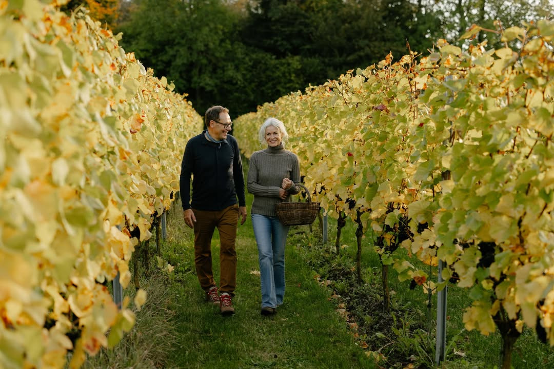 Erhverv og Turisme Kerteminde inviterer til inspirerende aften om rekruttering og dansk vin
