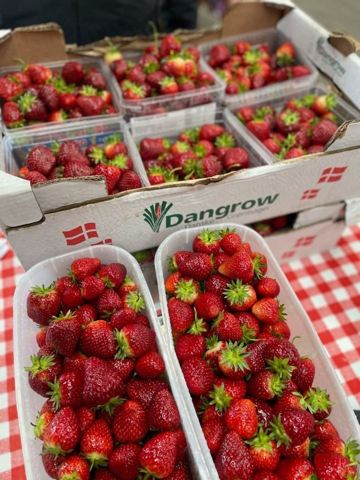 Nyt på opslagstavlen i Sæby