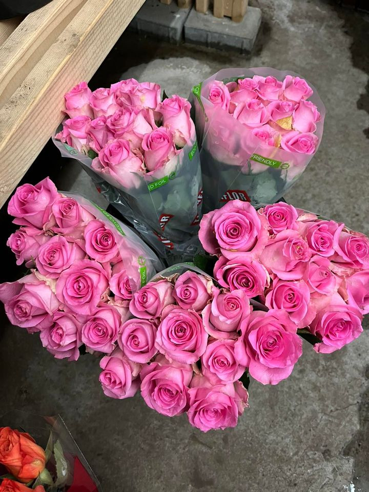 Hold dig ajour med dagens opdateringer fra Odder