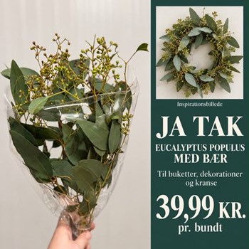 Opslagsbillede