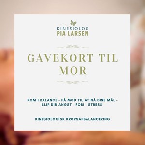 Opslagsbillede