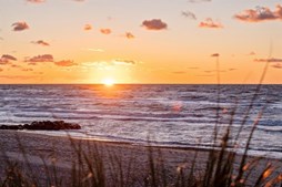 Chr. Møllers Vej 8A og 3 andre boliger er kommet til salg denne uge i Skagen - se boligerne her.