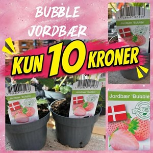 Opslagsbillede