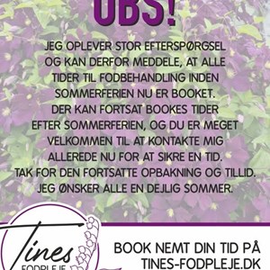 Opslagsbillede