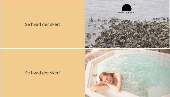 Spændende oplevelser på Rømø denne weekend: Østerssafari og wellness