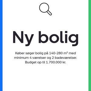 Opslagsbillede