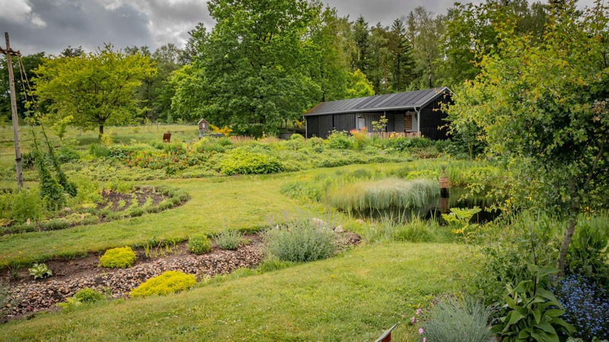 Nyt gruppeforløb i Tvis Mølle Naturlaboratorium starter i august med fællesskab og naturaktiviteter