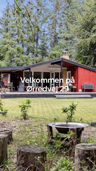 Opslagsbillede