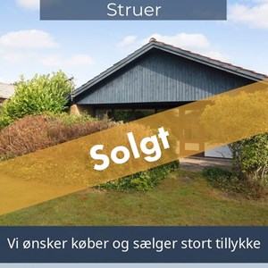 Opslagsbillede