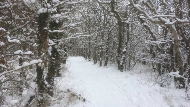 Oplev Korsørs naturskønhed med en kviktur langs Nor og Storebælt