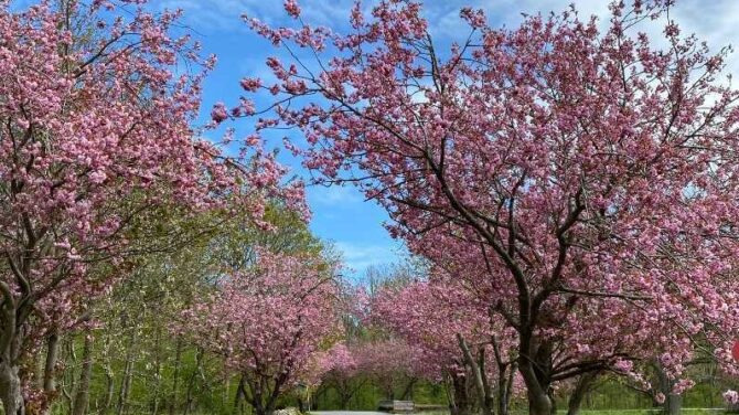 Forårsvandretur i Jyderup: Oplev det kuperede terræn ved Skarresø
