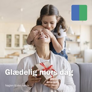 Opslagsbillede