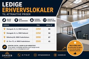opslagsbillede
