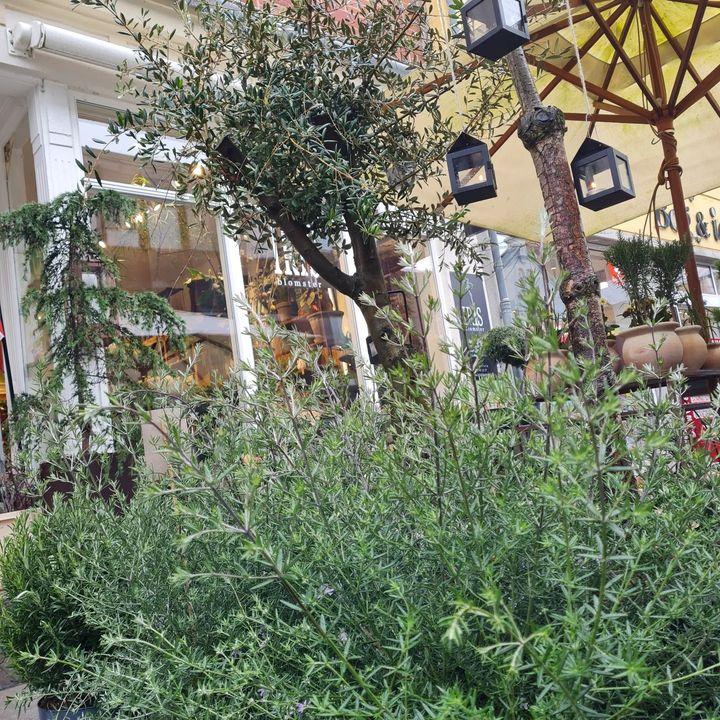 Det nyeste på Fredericias opslagstavle